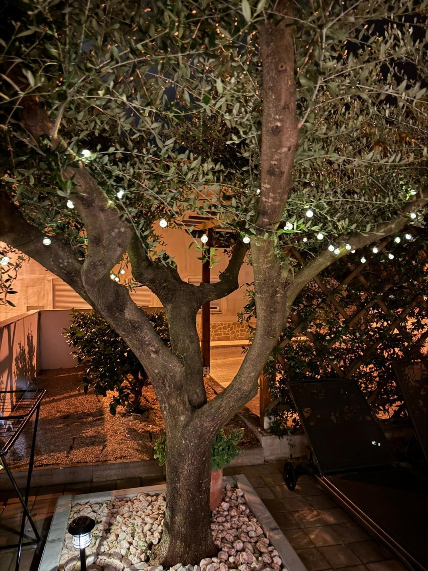 Noa